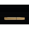 Geberit Sigma50 Dual Flush Plate - Black & Brass
