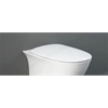 RAK Ceramics Sensation Soft Close Seat Urea Toilet Seat & Cover - White