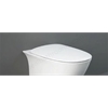 RAK Ceramics Sensation Soft Close Seat Urea Toilet Seat & Cover - White
