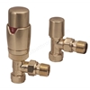 Scudo Designer Twin Pack TRV, Brushed Brass, Angled