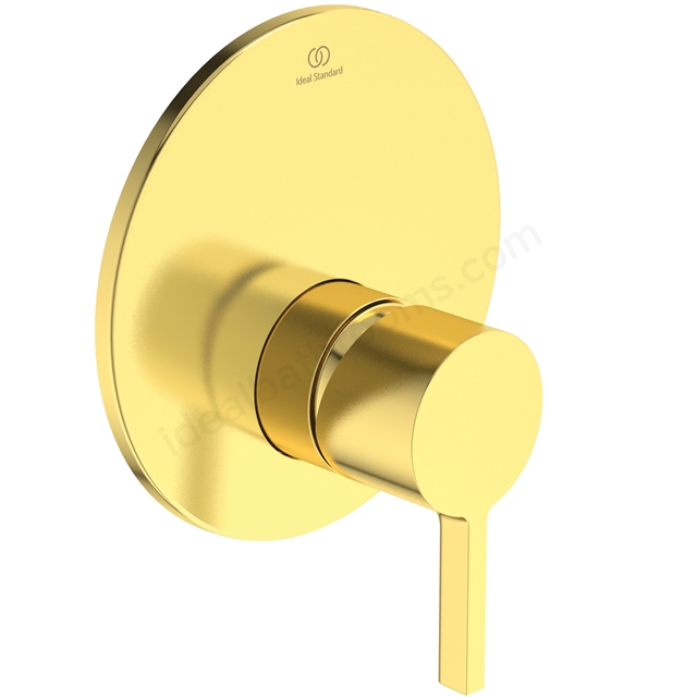 Atelier Joy single lever built-in shower; brushed gold