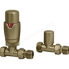 Swan Thermostatic Straight Valve - Brushed Brass