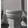 Tavistock Vitoria Toilet Seat and Cover - White