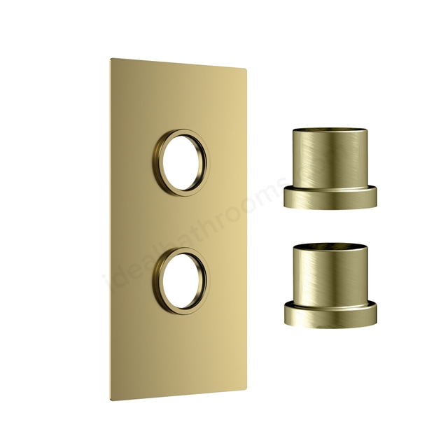 Scudo Concealed Plate 2 Outlets - Brushed Brass