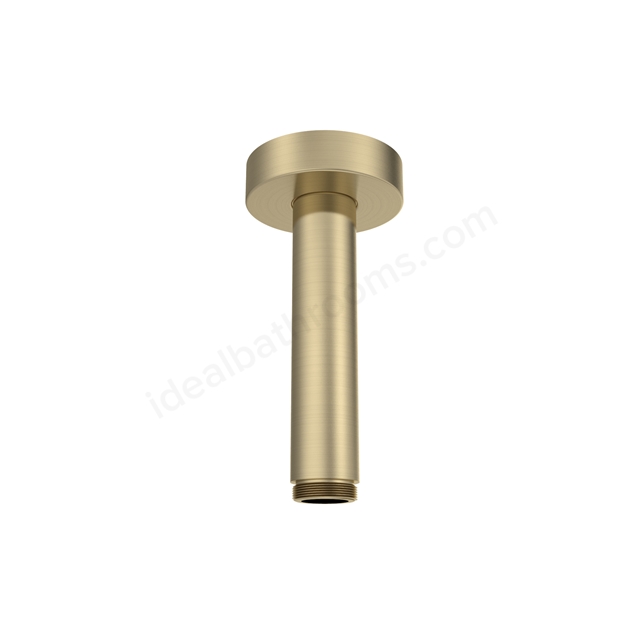 Tavistock Ceiling Shower Arm - Brushed Brass